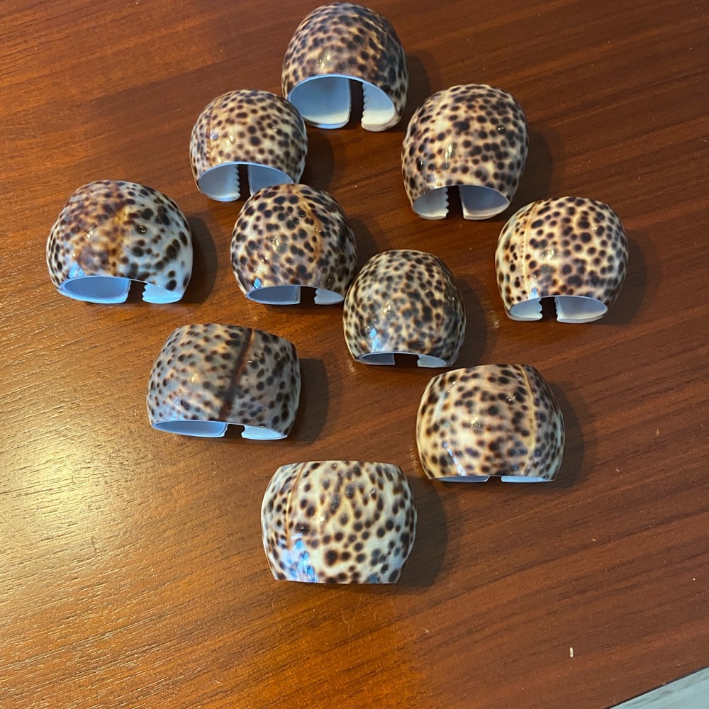 Tiger Cowrie Shell Vintage Napkin ring holders - set of 10